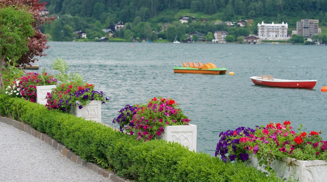 Krimml das einen Blumen und See oder Wasserstelle