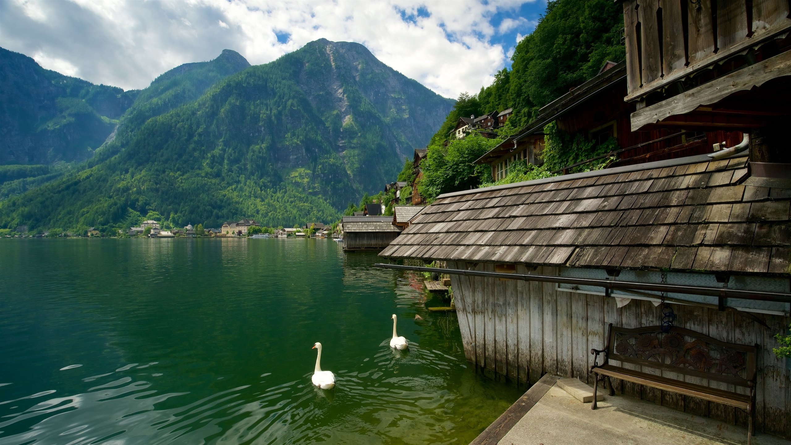 Hallstatt showing a lake or waterhole, bird life and mountains