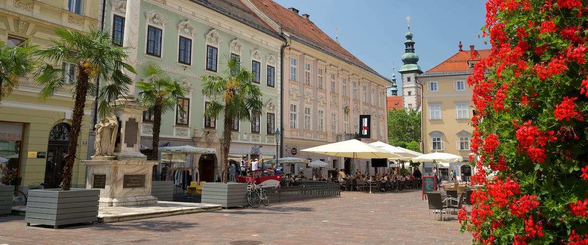 Old Square which includes flowers and heritage elements