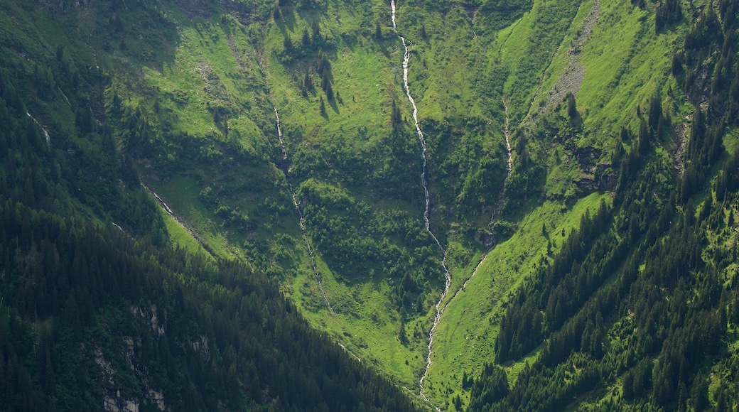 Stubnerkogel som visar berg och stillsam natur