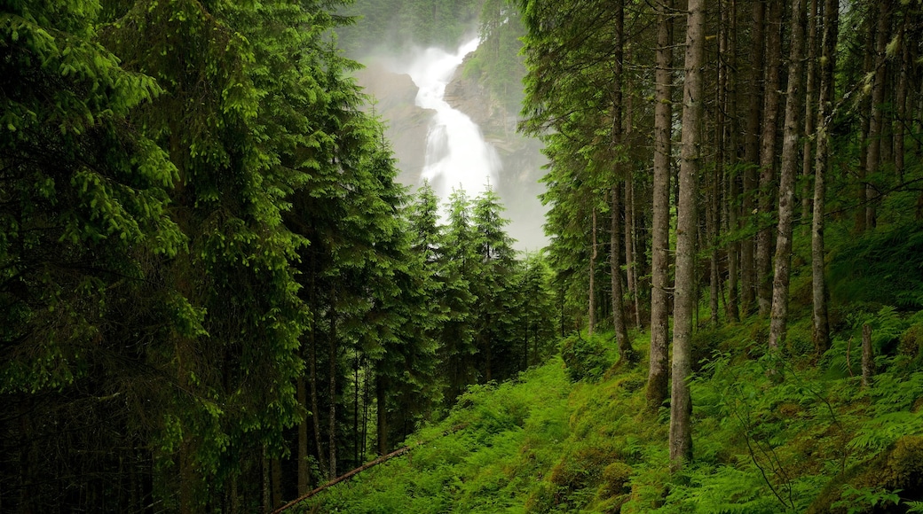 Krimmler Wasserfälle mit einem Waldmotive und Wasserfall