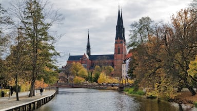 Uppsala johon kuuluu pieni kaupunki tai kylä, syksyn lehdet ja joki tai puro