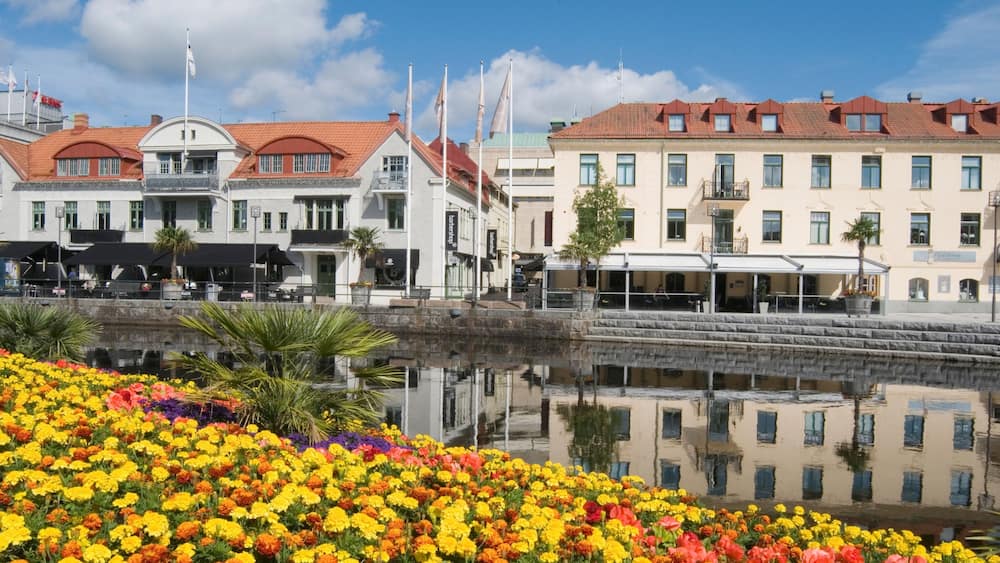 Boras mettant en vedette petite ville ou village, mare et fleurs