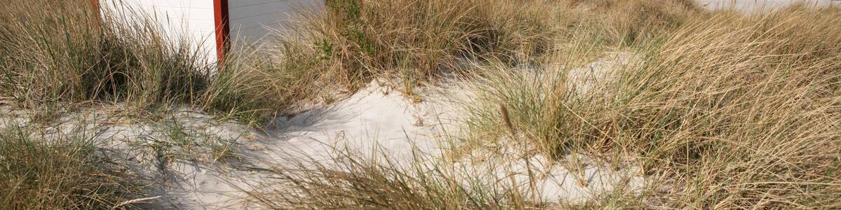Skanör das einen Sandstrand