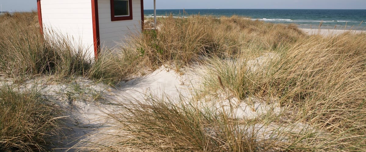 Skanör qui includes plage de sable