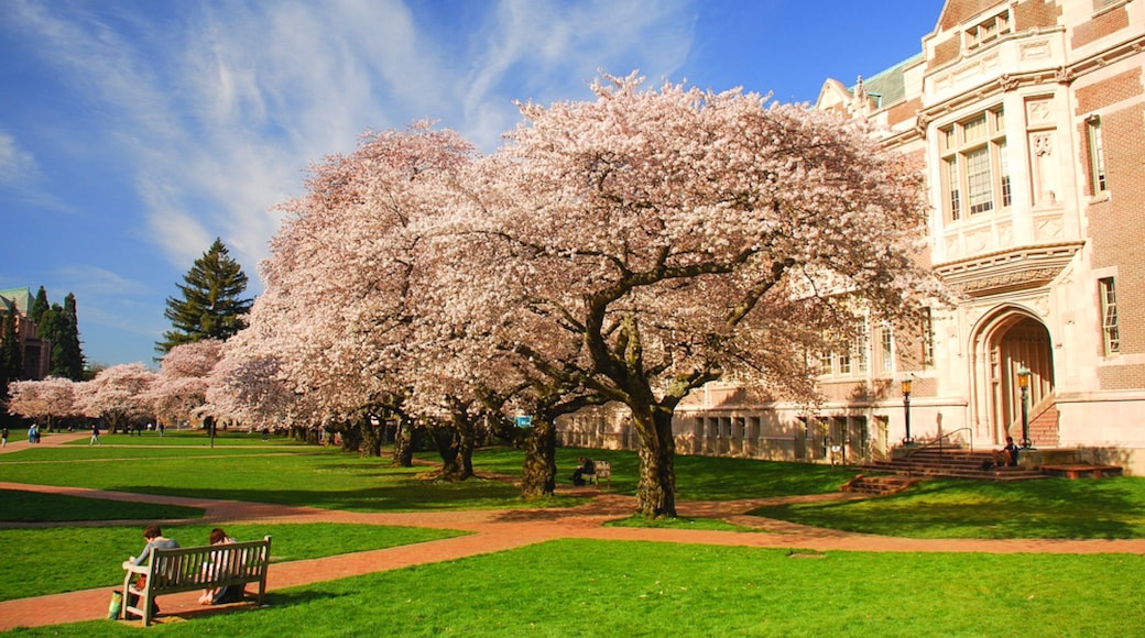 Photo provided by Expedia