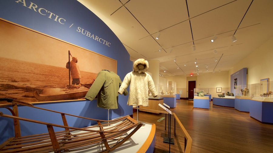 Eiteljorg Museum of American Indians das einen Innenansichten
