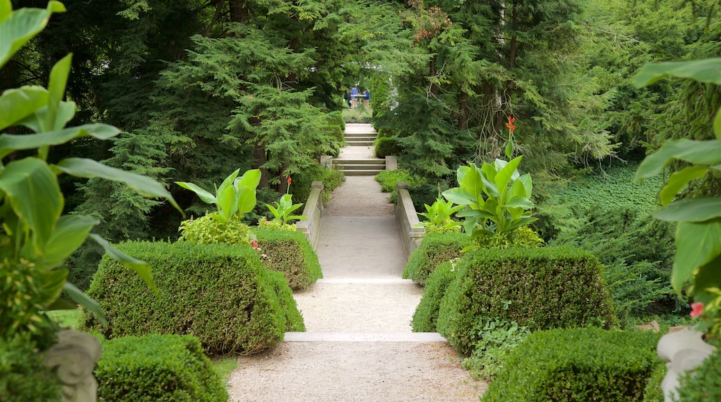 Indianapolis Museum of Art featuring a park