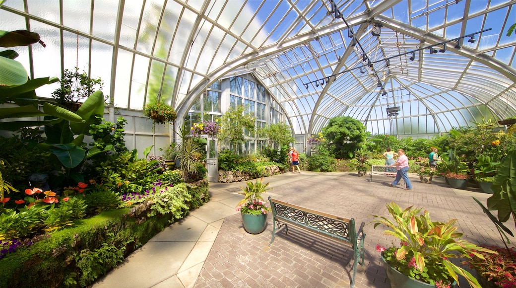 Anna Scripps Whitcomb Conservatory showing a park and interior views