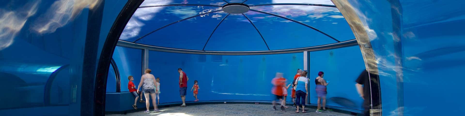 Indianapolis Zoo
