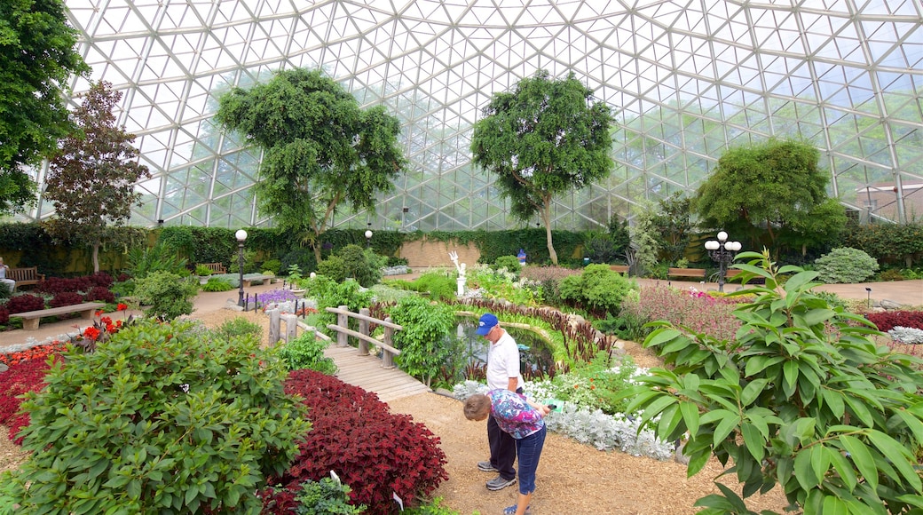 米切尔公园园艺学院