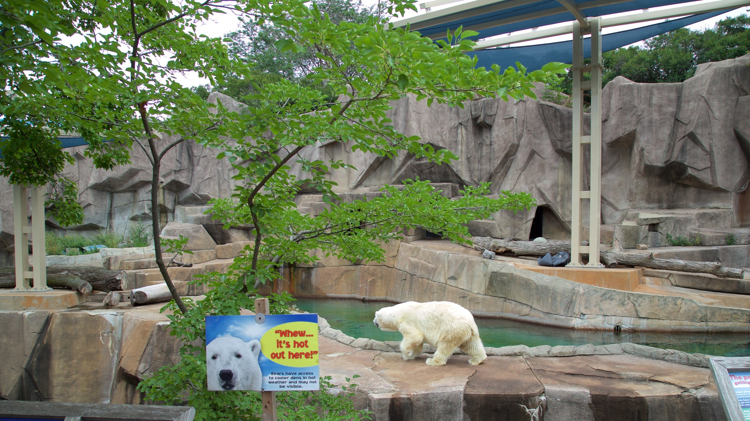 Zoológico Milwaukee #zoo com muitas atrações (teleférico + trem) e  churrascaria fechando noite 🇧🇷 