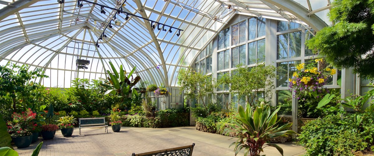 Anna Scripps Whitcomb Conservatory