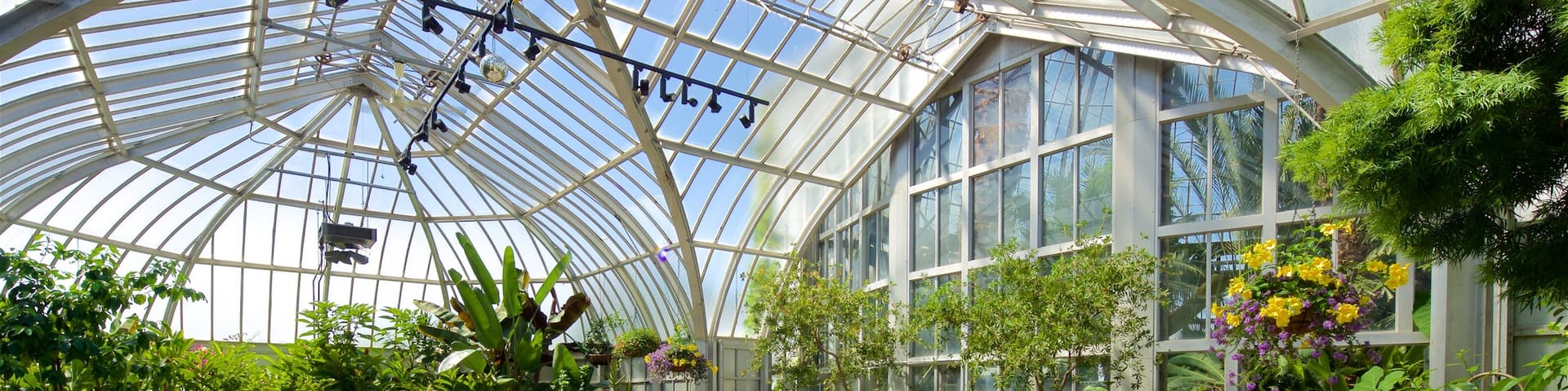 Anna Scripps Whitcomb Conservatory