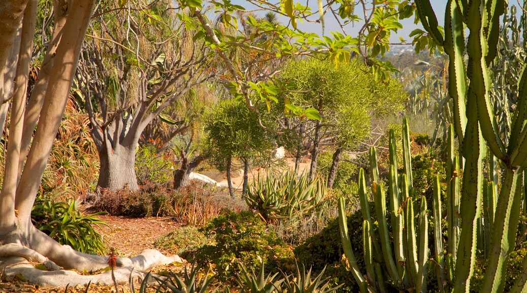 Balboa Park som visar landskap, en park och åkattraktioner