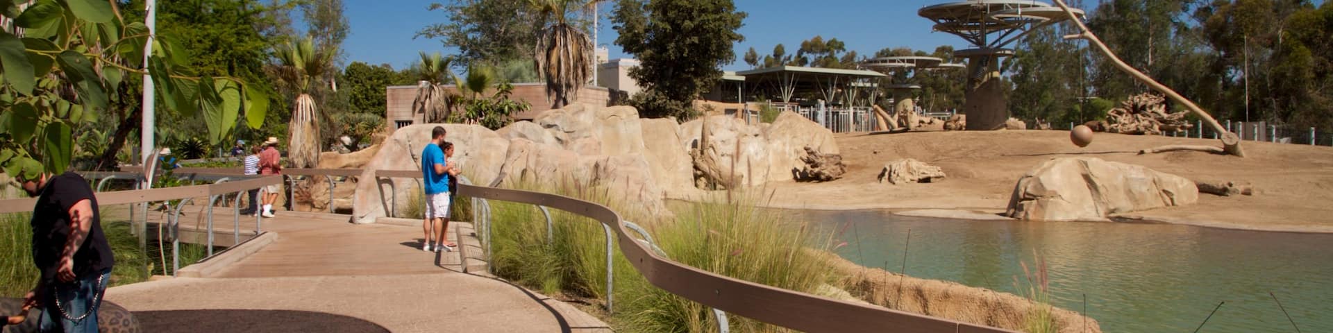 San Diego Zoo featuring landscape views, zoo animals and a pond