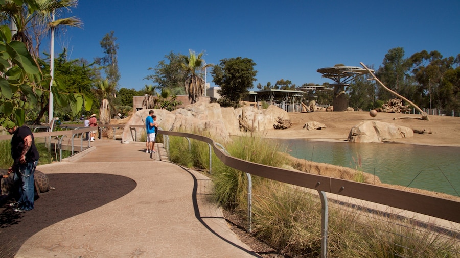 Zoológico de San Diego mostrando un estanque, animales del zoo y vistas panorámicas