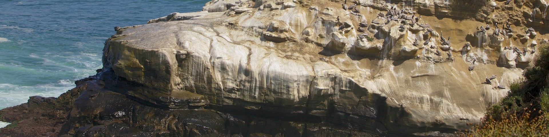 La Jolla Cove which includes landscape views and rocky coastline