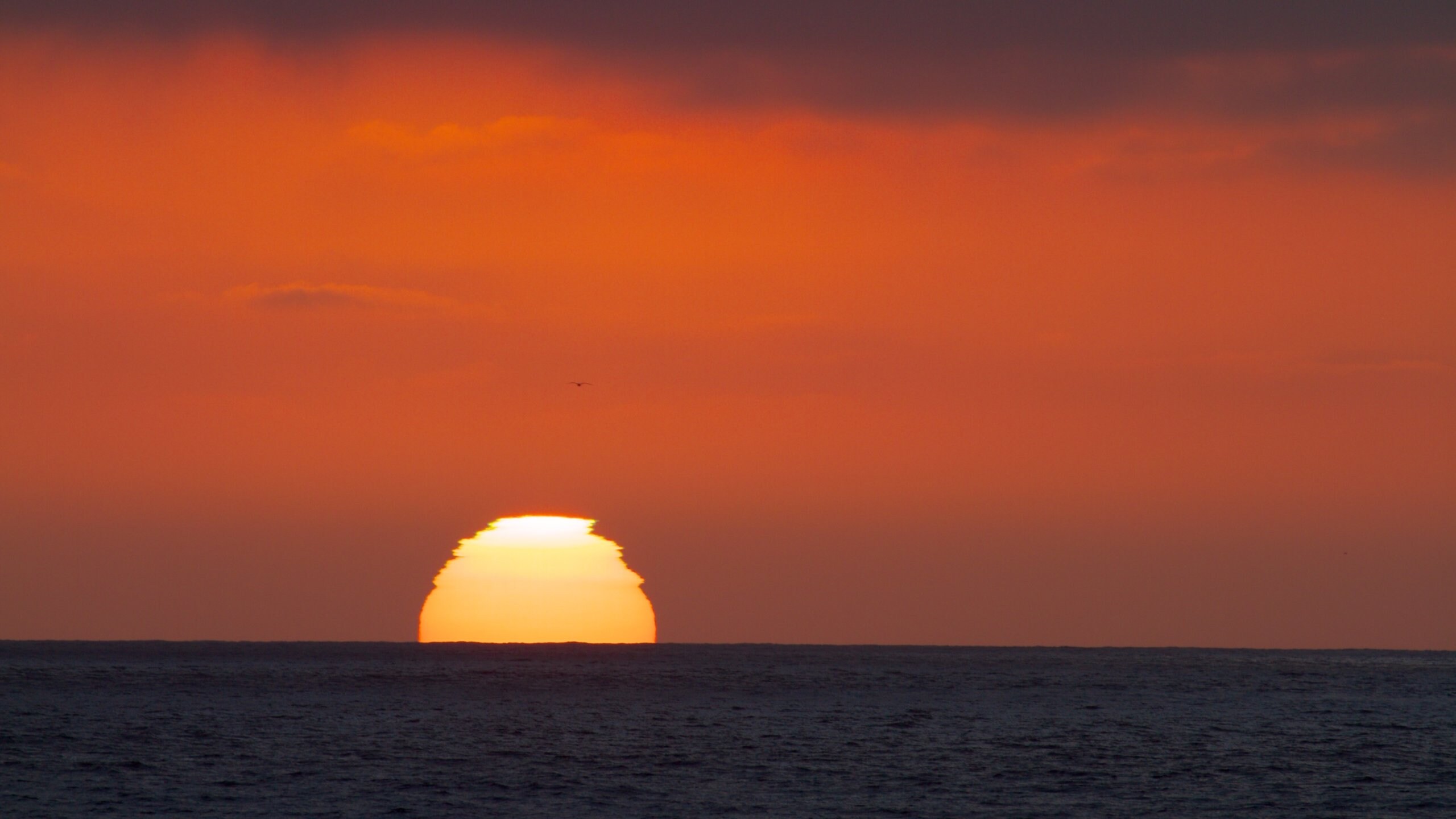 圣地亚哥的太平洋海滩公园 Expedia 圣地亚哥的太平洋海滩公园 Expedia