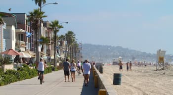 Mission Beach welches beinhaltet Strand, tropische Szenerien und Straßenszenen