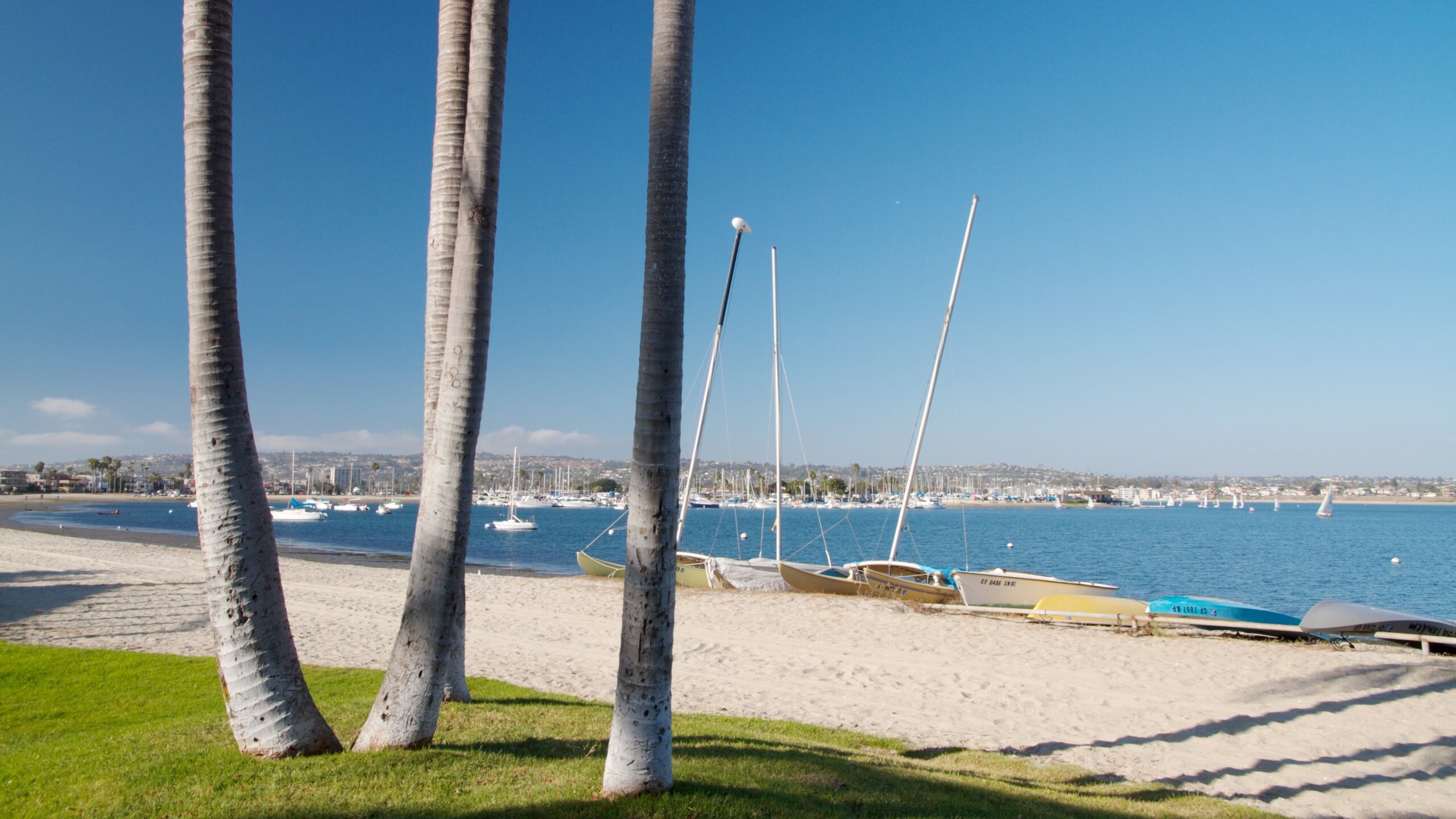 Central Mission Beach US Vacation Rentals House Rentals More Vrbo