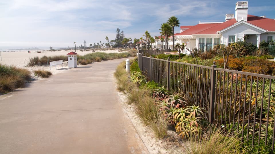 Coronado Beach showing a beach and skyline