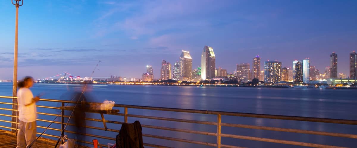 Coronado Beach featuring landscape views, central business district and a high-rise building
