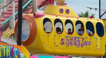 Belmont Park showing rides and a garden