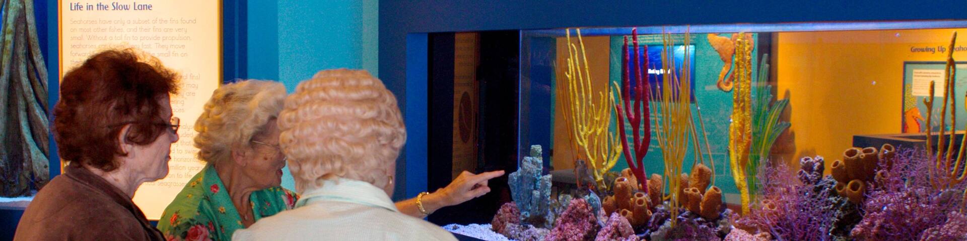 Birch Aquarium which includes marine life as well as a small group of people