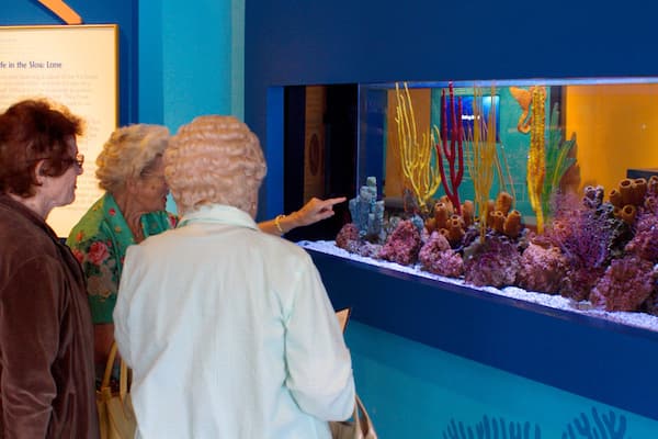 Birch Aquarium welches beinhaltet Meeresbewohner sowie kleine Menschengruppe
