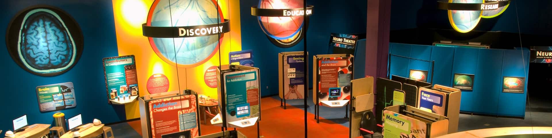 Phoenix mit einem Innenansichten