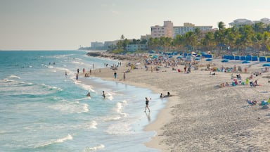 Deerfield Beach das einen Skyline, Schwimmen und tropische Szenerien
