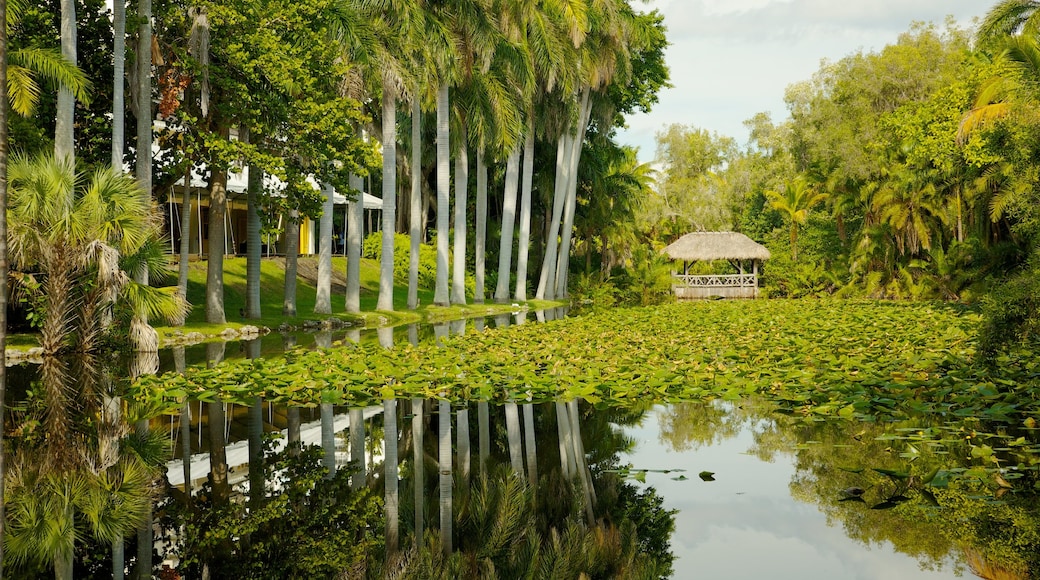 Fort Lauderdale which includes landscape views, tropical scenes and a pond