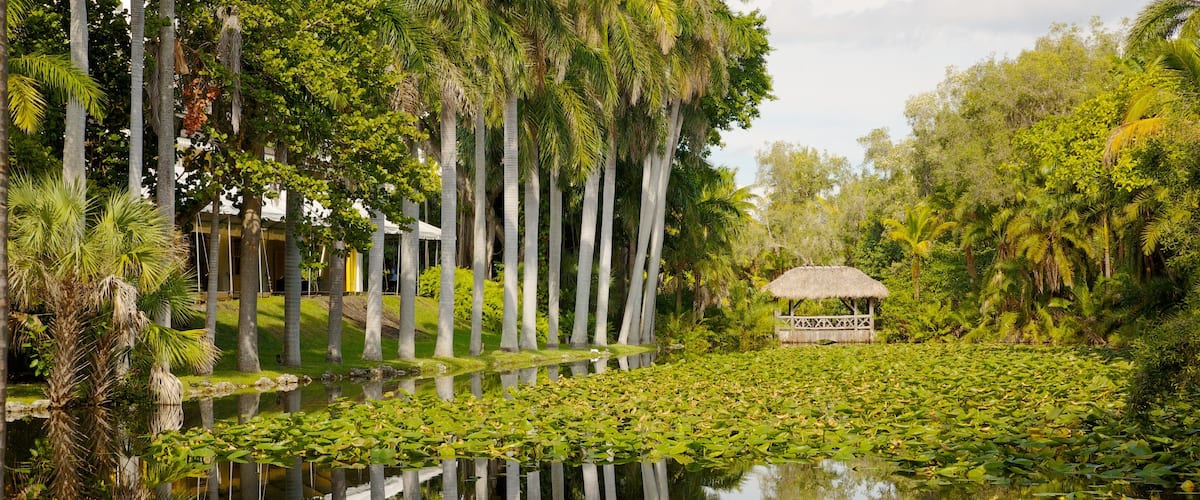Fort Lauderdale qui includes mare, jardin et scĂšnes tropicales