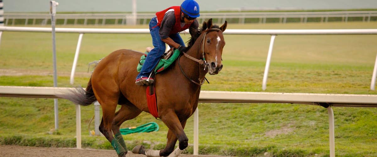 Gulfstream Park toont paardrijden en ook een man