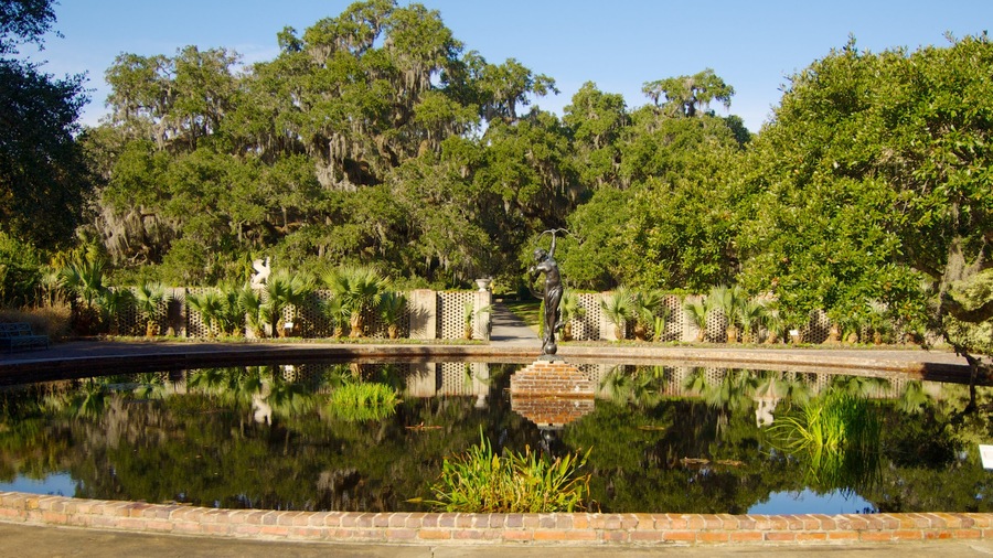 Myrtle Beach bevat landschappen, een vijver en een park