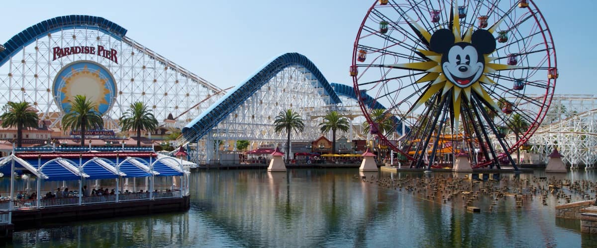 ๋์ฆ๋ ์บ๋ฆฌํฌ๋์ ์ด๋๋ฐด์ฒยฎ ํํฌ ์ด ํฌํจ ํ๊ฒ ๊ณผ ์ ํธ