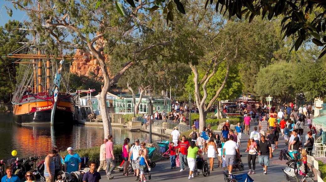 Disneyland® Park showing rides as well as a large group of people