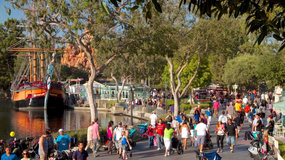 Disneyland® Park which includes rides as well as a large group of people