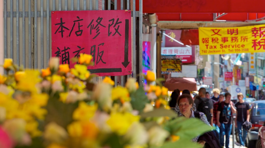 Chinatown which includes flowers, markets and a city