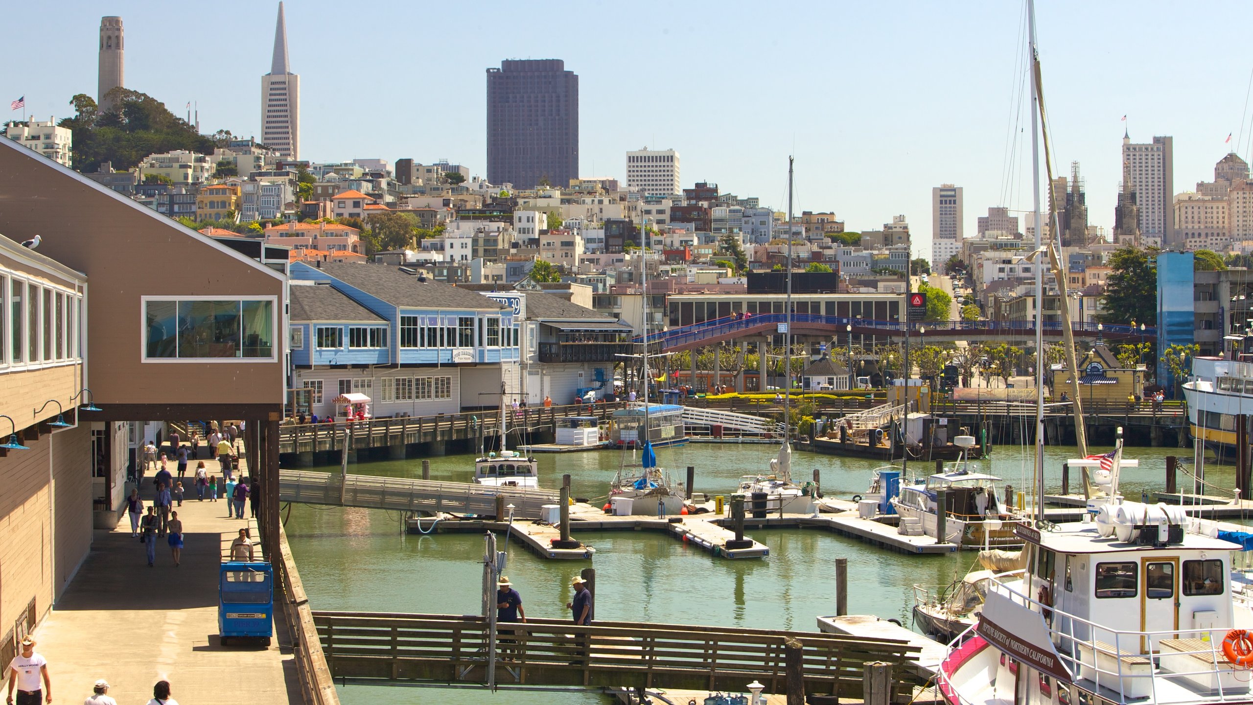 pet-friendly-hotels-in-san-francisco-fisherman-s-wharf-2163-hotels-for