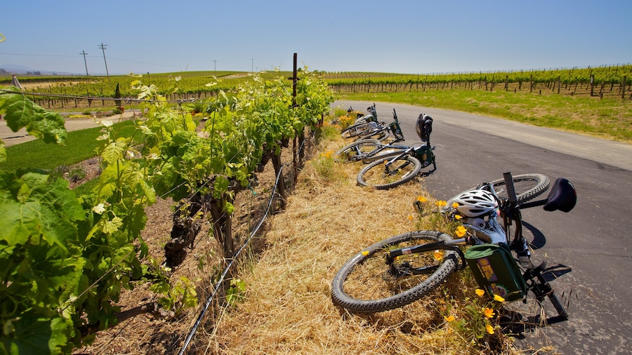 Napa Valley ofreciendo ciclismo de montaña, tierras de cultivo y vistas de paisajes