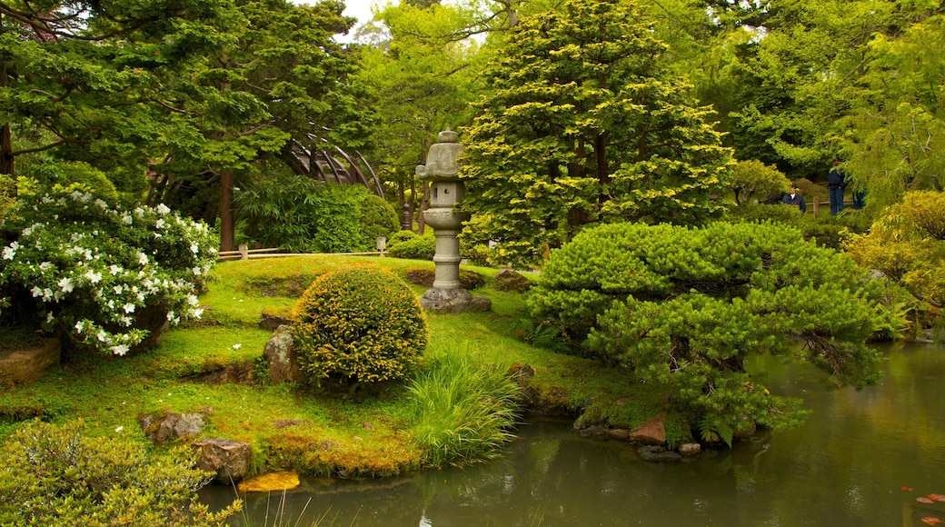 Japanese Tea Garden som visar landskap, en park och en damm