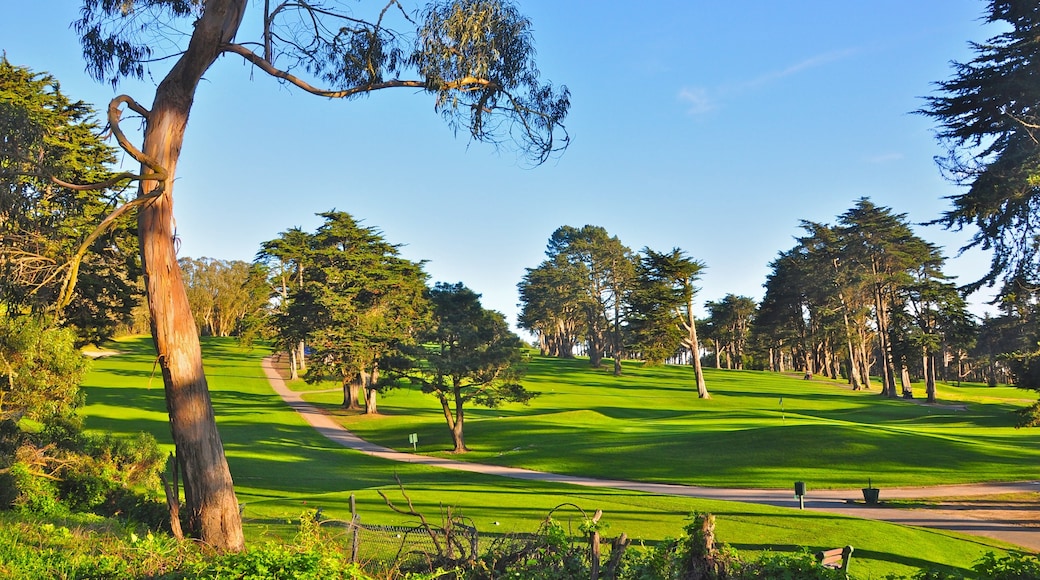 Presidio of San Francisco toont een park en landschappen