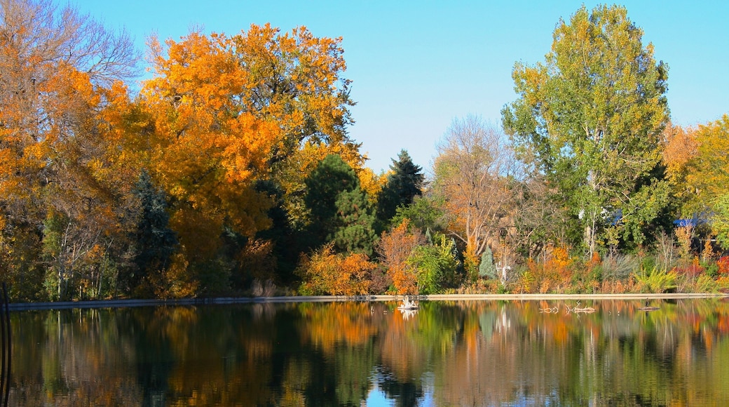 City Park which includes forest scenes, a lake or waterhole and a pond