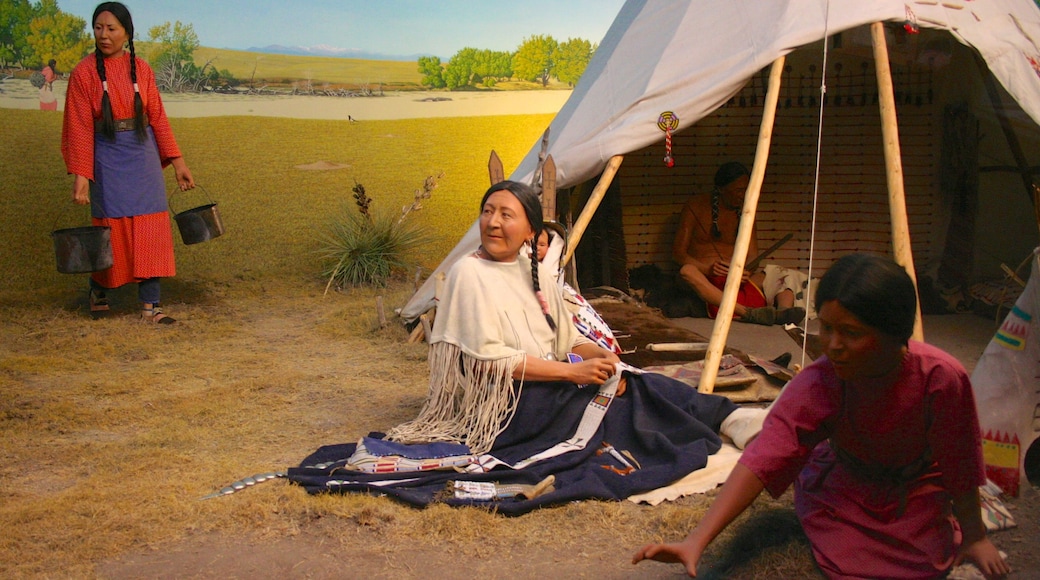 Museum van natuur en wetenschap in Denver