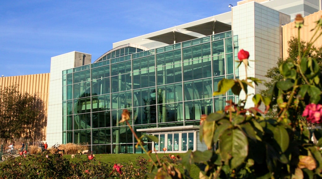 Denver Museum of Nature and Science som inkluderar blommor och en stad