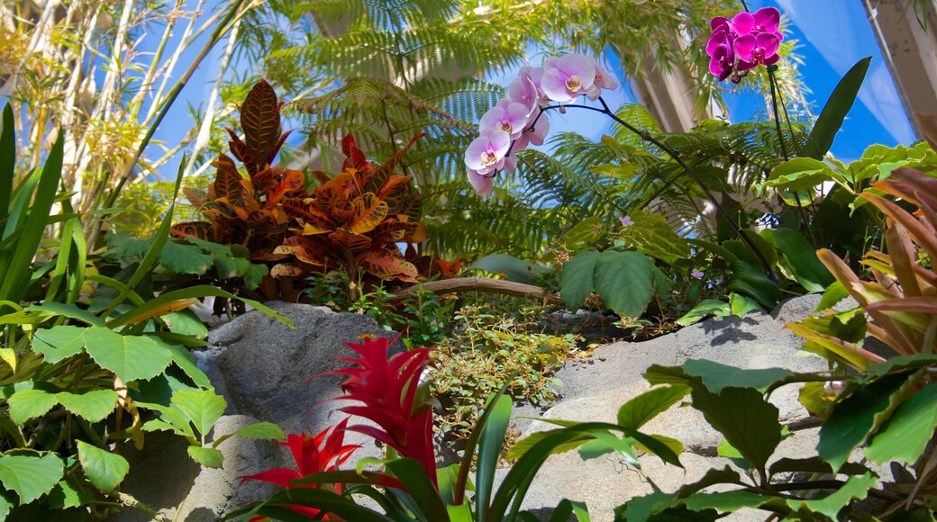 Denver Botanic Gardens inclusief een park, wilde bloemen en bloemen