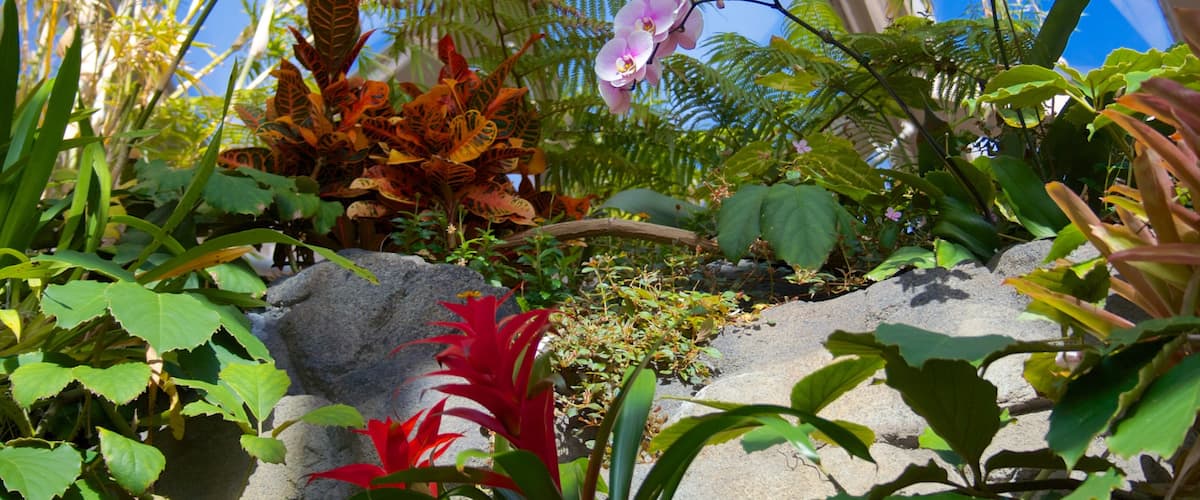 Denver Botanic Gardens featuring wildflowers, a park and flowers