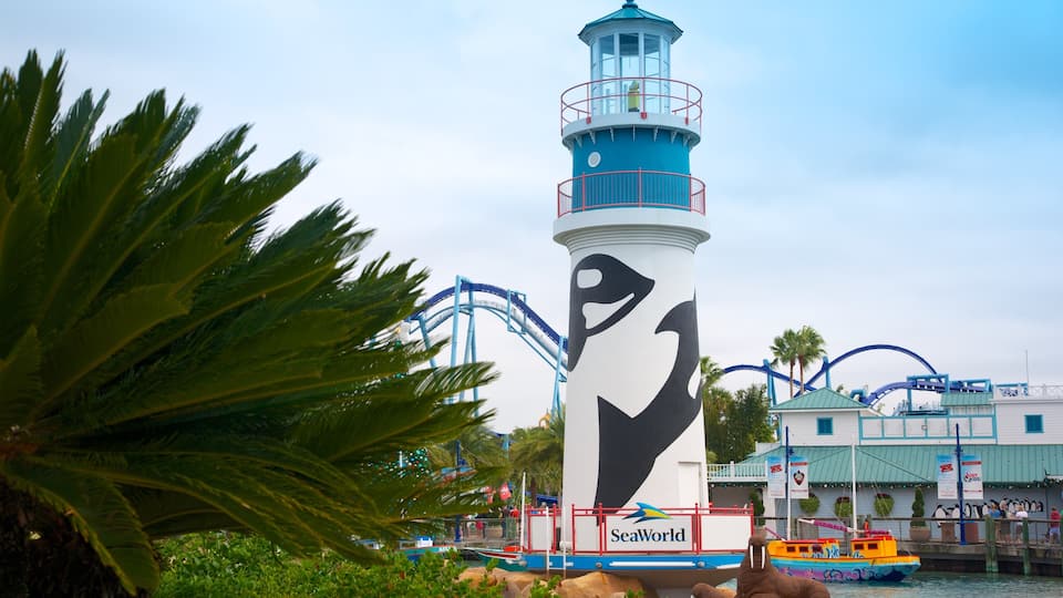 Parque acuático Aquatica mostrando horizonte y paseos